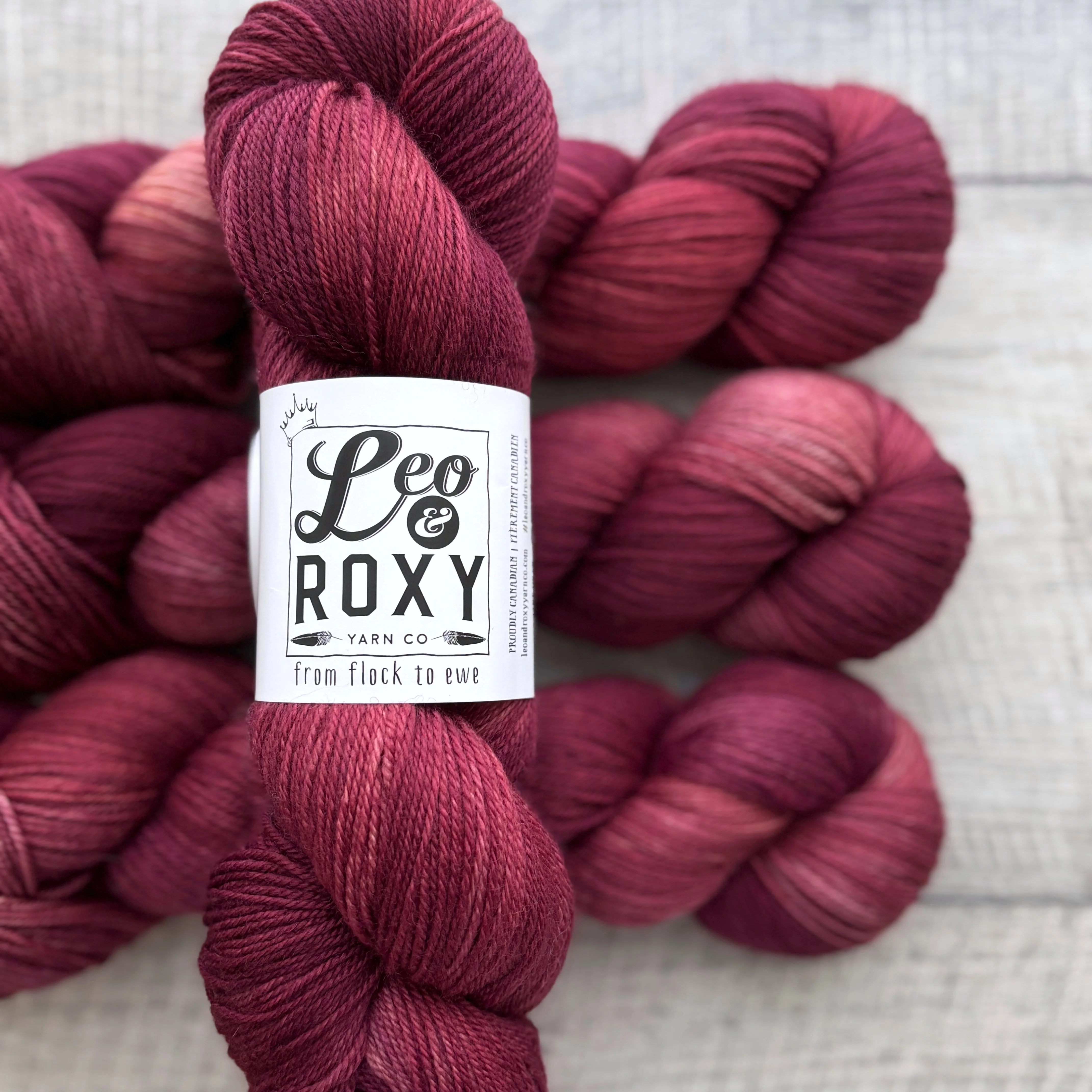 Leo and Roxy | 80/20 sock | Eggshell collection - Image 12